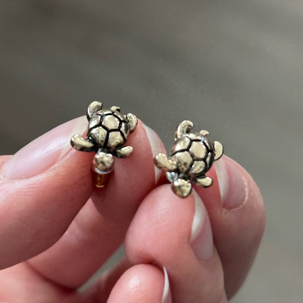 Charming Silver Turtle Stud Earrings